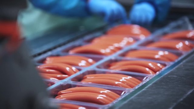 meat processing plant - food production and packaging