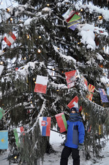 Boy standing next to Christmas tree decorated with many country flags at Santa Claus Village in Rovaniemi. Arctic circle, Lapland, Finland