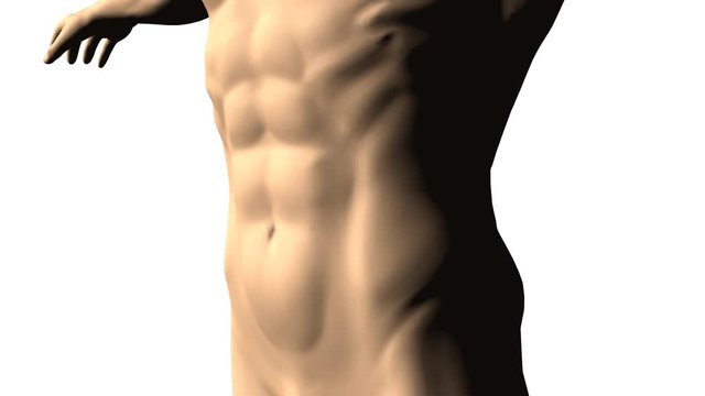 3d model of naked man body with fat belly before and slim fit perfect abs after. 4k animation with alpha channel. Ad for laxatives, diet supplements for weight loss or sports training.