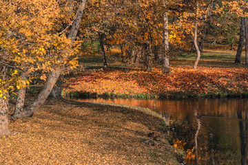 autumn landscape in the park, trees are reflected in the water