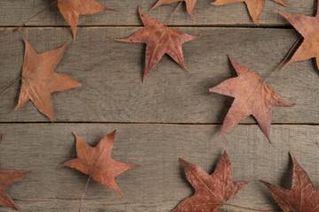 dried autumn leaves on a wooden background