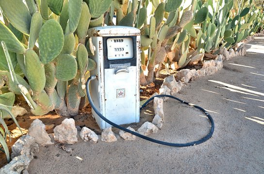 Old petrol station and cacktus