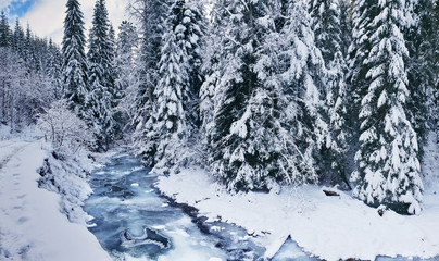 Fototapeta na wymiar Beautiful winter landscape. Frozen river and green firs covered with snow.