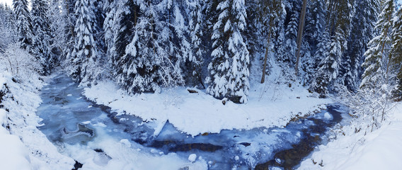 Beautiful winter landscape. Frozen river and green firs covered with snow.