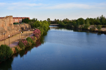 Fototapeta premium View of the Guadiana River as it passes through the Spanish city of Mérida