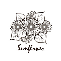 collection of illustration with sunflower isolated on white background