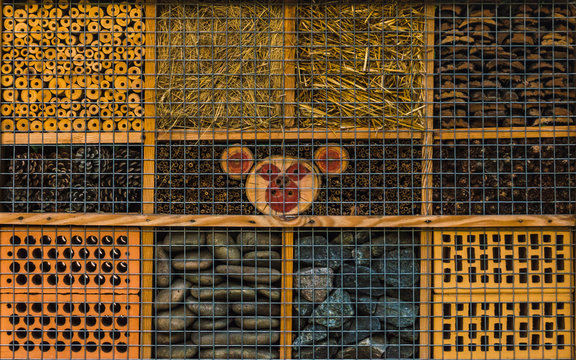 Pattern of various natural materials: woods, roocks, hay, pine cones.