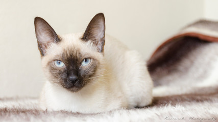 Luna