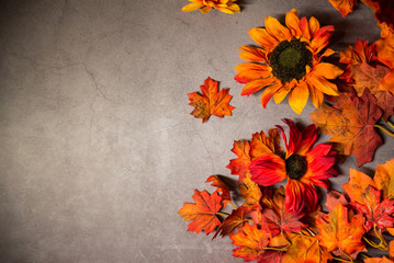 orange leaves and flowers on a dark background