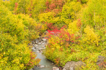 Towada Hachimantai National Park in early autumn