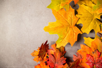 orange and yellow leaves on a light concrete background