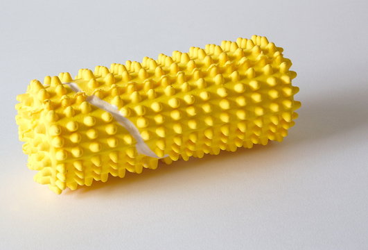 dogs yellow squeaky toy