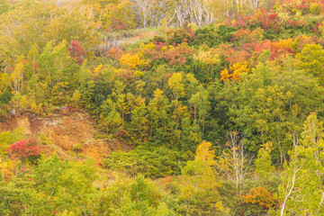 Towada Hachimantai National Park in early autumn