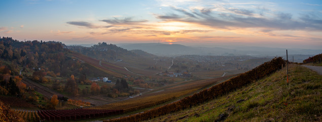 Fototapeta na wymiar Panoramic view of Stuttgart in autumn. The vineyards' leafs are colorful changing from yellow to red, while the sun is setting above the Neckar valley.