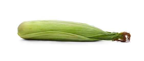 A whole unopened corn on the cob, corncob isolated on a white background.