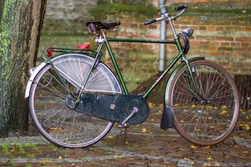 old bicycle in park