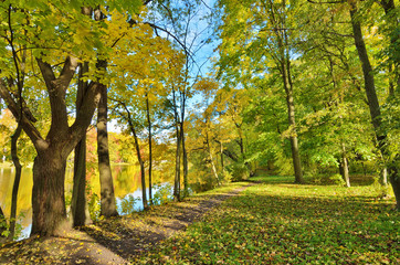 Autumn. Beautiful natural landscapes.