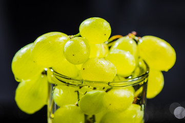 green grapes in water on background background. Splashes of drops, water