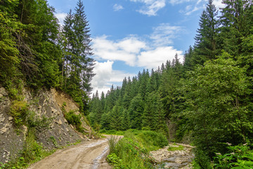 Fototapeta na wymiar Ukraine, Carpathians. Dirt mountain road along the river.