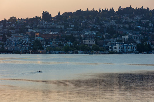 Crew racers rowing double scull boat on Lake Union at dawn, Seattle, Washington, USA.