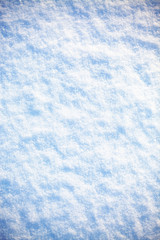 Obraz premium fresh snow background Christmas banner