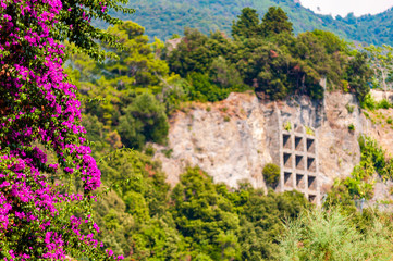 Blooming Bougainvillea branch, supporting construction with multiple square shapes holding overgrown rocky cliff and prevents falling rocks to the city area in Monterosso Al Mare, Cinque Terre