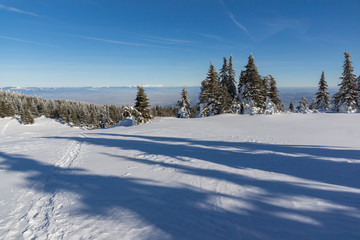 Fototapeta na wymiar Winter Panorama of Vitosha Mountain, Bulgaria