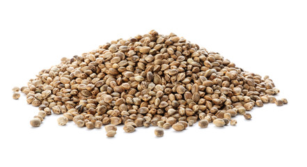 Pile of hemp seeds on white background