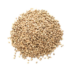 Pile of hemp seeds on white background, top view