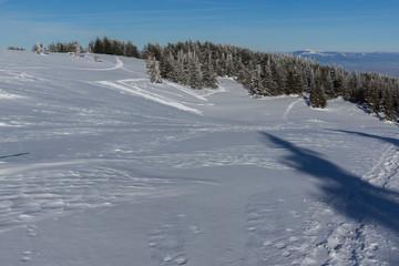 Fototapeta na wymiar Winter Panorama of Vitosha Mountain, Bulgaria