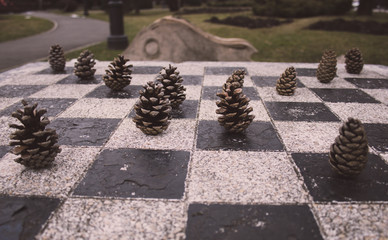 Pine cones formation on a chess board 