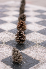 Fototapeta premium Pine cones on a chess table 