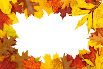 Border frame of colorful autumn dry leaves