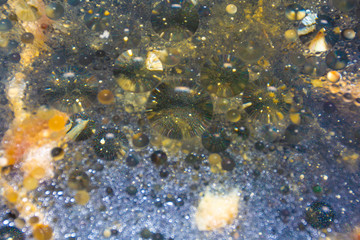 Vegetable oil floats on the water in a pan. a mixture of fat and water after cooking. Concept: dirty dishes, washing dishes. Abstract background.