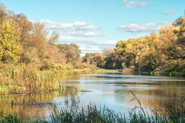 Autumn in the scenic Khoper river and picturesque forest path. Mood of the Russian outback, fall landscape