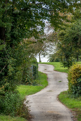 Obraz premium Kurven auf dem Weg