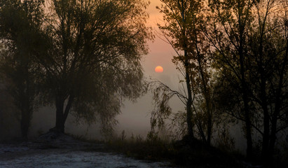 Morning fog on the river. Autumn