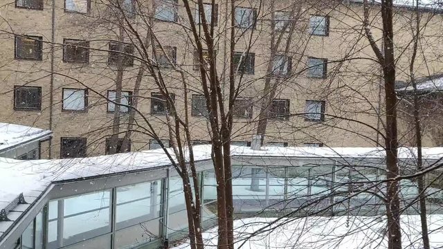 Snowfall outside in a university courtyard pathway with a branched tree in mixed slow motion HD 