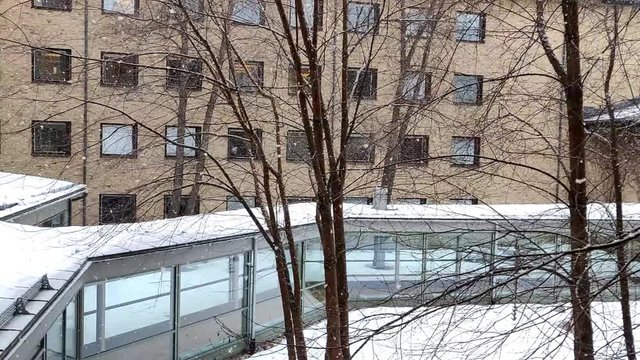 Filmy snowfall outside in a university courtyard pathway with a branched tree in mixed slow motion HD 