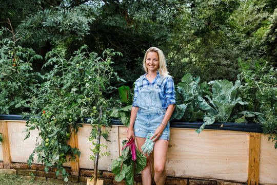 Blond woman harvesting mangold from her raised bed in her own garden