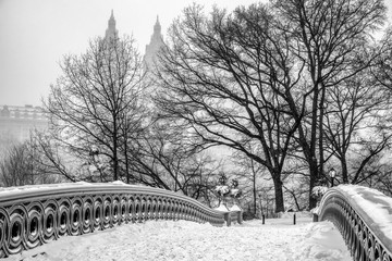 Central Park New York Bow Bridge