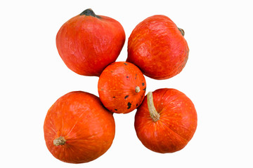 Red kuri squash, small pumpkin in front of white background