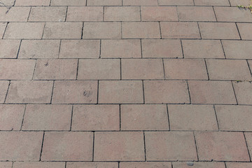 Fondo con textura de pavimento regular de baldosa de hormigón