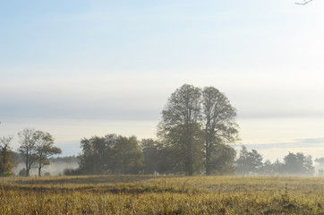 Fototapeta na wymiar Foggy autumn morning, beautiful landscape with field, trees and sky