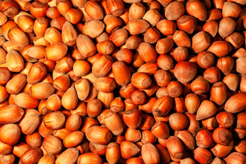 dried hazelnuts background