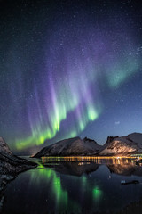 aurora borealis in norway - obrazy, fototapety, plakaty