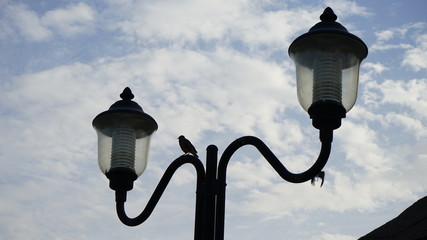 lamp, light, street, lantern, sky, old, blue, lighting, lamppost, antique, city, architecture, post, streetlight, object, iron, glass, lamps, metal, illumination, vintage, lights, black, clouds, stree