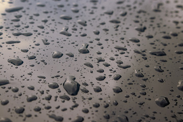 Water Drops
