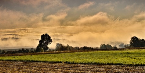 mgła o wschodzie © Piotr