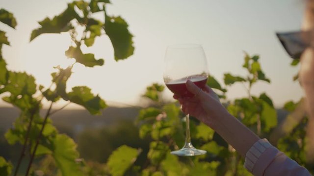 Shot back young woman stand the vineyards tasting raises the red wine glass grape at sunset organic connecting with nature agriculture sunny travel countryside field green rural slow motion